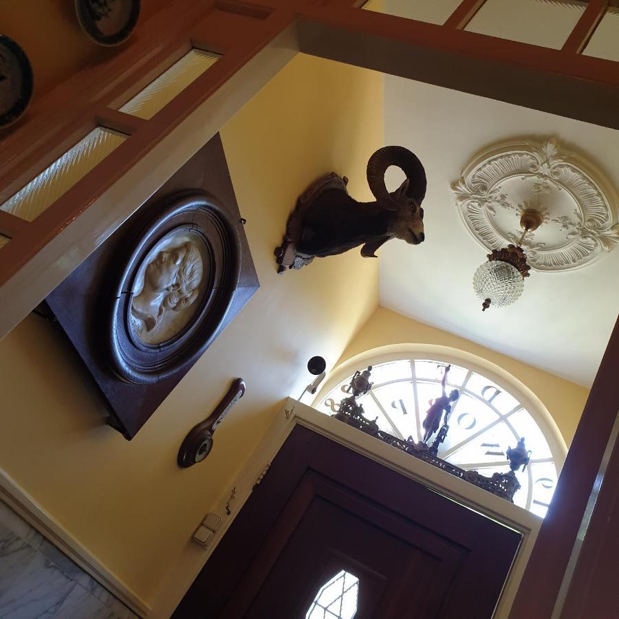 Deventer Heritage En Boutique B&B Museumhuis Huize "De Worp" Ngoại thất bức ảnh